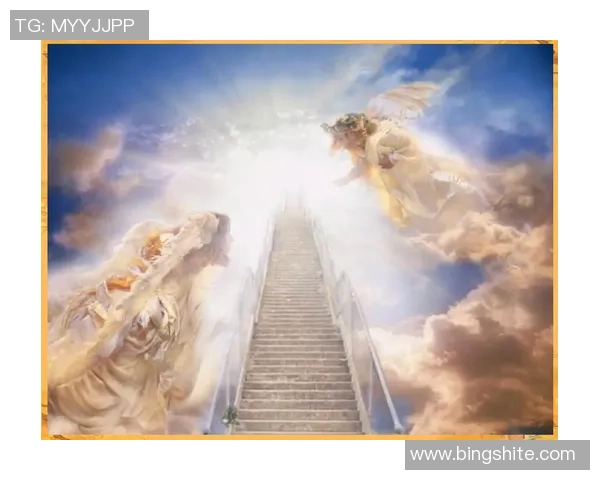 非你莫属足球明星的荣耀与梦想之路探秘