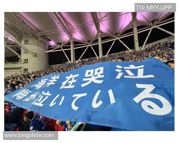 武汉排球队灵活性引发热议球迷与专家观点碰撞激烈